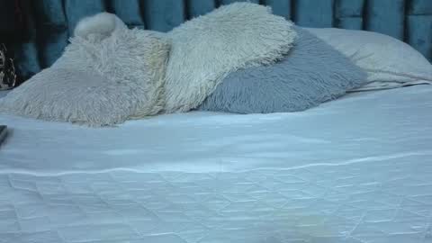 Emma online show from March 21, 2026, 7:17 pm