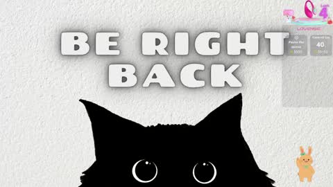   online show from April 14, 2026, 11:38 am