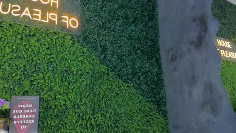 Emmiily online show from February 11, 2025, 11:01 pm