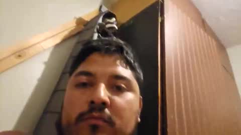 engineer_model_2022 online show from March 1, 2026, 4:25 am