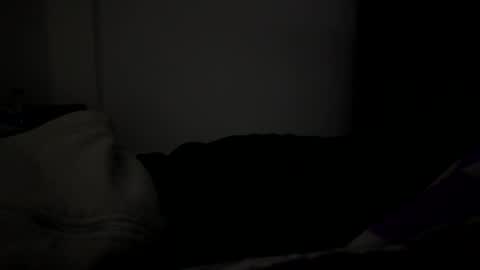 Eriolt online show from April 1, 2026, 6:03 am