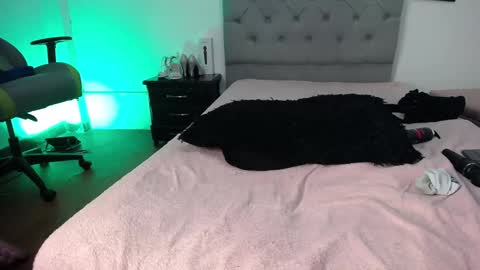 Perla online show from November 12, 2025, 6:03 am