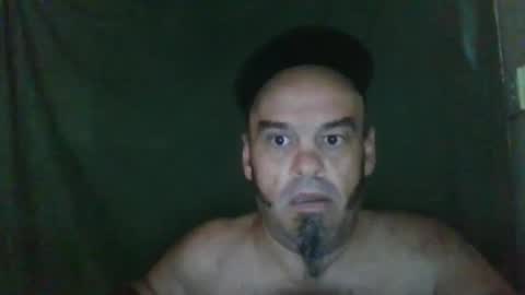 Snapshot of essensualelf chatting on September 8, 2025, 9:58 pm Essensual Elf online show from September 8, 2025, 9:58 pm