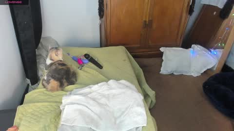 - E S T R E L L A  M I L F - online show from January 7, 2025, 4:50 am