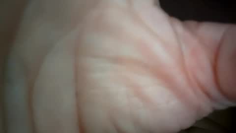 ethereumumm online show from October 31, 2025, 6:31 pm