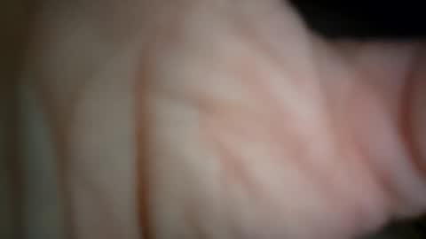 ethereumumm online show from November 4, 2025, 11:31 am