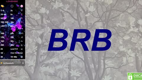 Eva online show from January 28, 2025, 4:08 pm