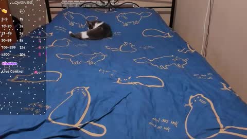 Eva online show from February 8, 2026, 2:09 pm