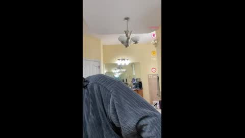 Aly online show from April 7, 2026, 7:36 pm