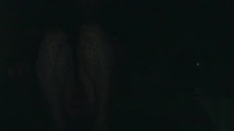 evermore8807 online show from December 14, 2025, 4:07 am