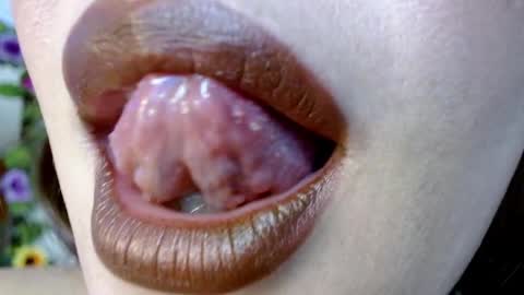 Snapshot of evolethmontenegros chatting on December 29, 2024, 2:27 am Evoleth online show from December 29, 2024, 2:27 am