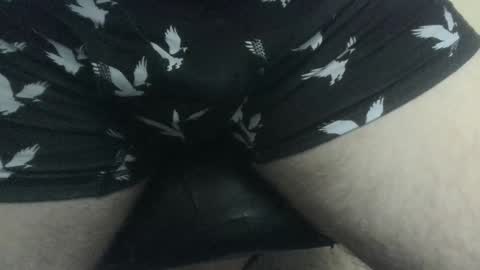 evolite_ online show from December 27, 2024, 6:42 pm