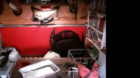 EvPierce online show from April 11, 2026, 7:13 am