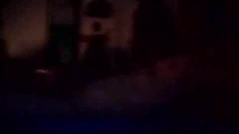 experttreecompany online show from March 3, 2026, 12:11 pm