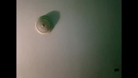 experttreecompany online show from March 21, 2026, 10:31 am