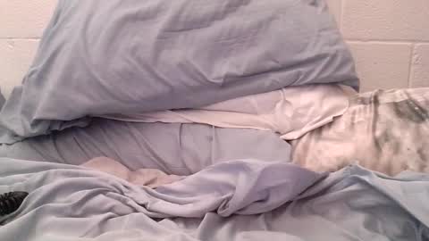 ez37going88 online show from April 21, 2026, 2:12 pm