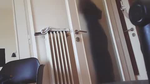 EZCODA online show from January 7, 2025, 10:11 am