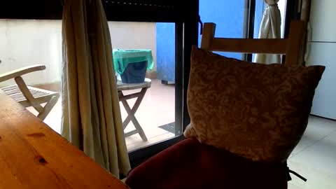 Fabro online show from March 13, 2026, 7:48 am