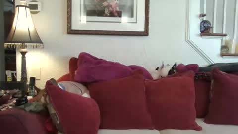 fairmount31 online show from February 13, 2026, 1:51 pm