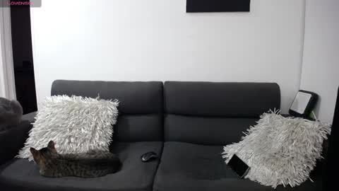 Snapshot of fallgays chatting on February 22, 2025, 12:16 am FallGays online show from February 22, 2025, 12:16 am