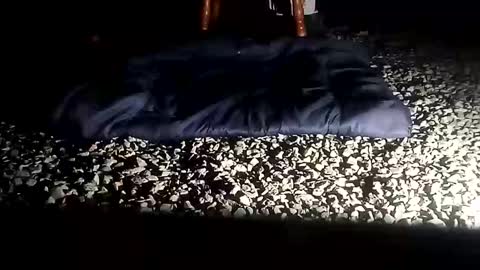 fallguyb1875150 online show from October 6, 2025, 10:12 am