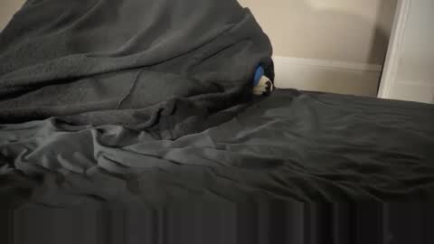 Snapshot of fangofox chatting on January 12, 2026, 2:39 am Fango online show from January 12, 2026, 2:39 am