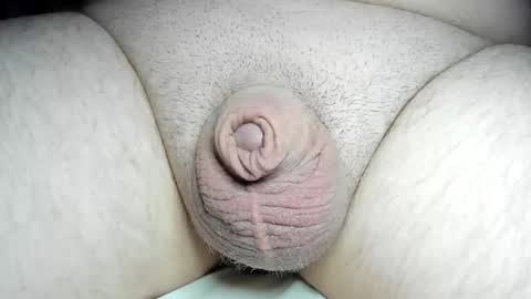 Snapshot of fatmanscock chatting on December 8, 2024, 4:04 am Fatmanscock online show from December 8, 2024, 4:04 am