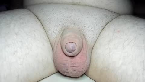 Snapshot of fatmanscock chatting on January 28, 2025, 5:11 am Fatmanscock online show from January 28, 2025, 5:11 am