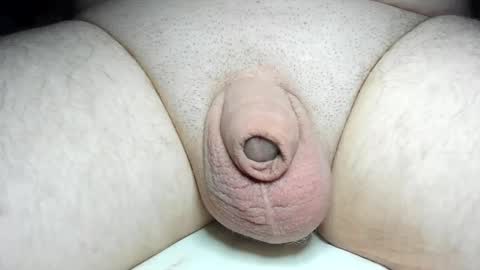 Snapshot of fatmanscock chatting on February 4, 2025, 5:53 am Fatmanscock online show from February 4, 2025, 5:53 am