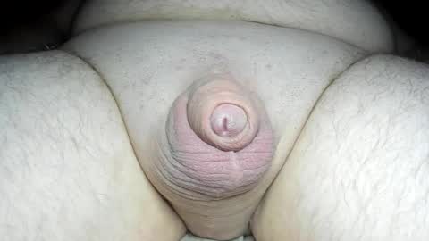 Snapshot of fatmanscock chatting on February 20, 2025, 3:01 am Fatmanscock online show from February 20, 2025, 3:01 am