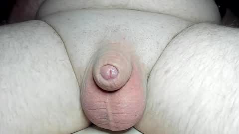 Snapshot of fatmanscock chatting on March 5, 2025, 4:56 am Fatmanscock online show from March 5, 2025, 4:56 am