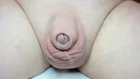 Snapshot of fatmanscock chatting on October 26, 2025, 3:34 am Fatmanscock online show from October 26, 2025, 3:34 am