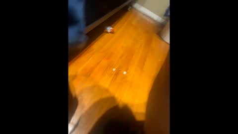 fatz71056 online show from October 16, 2025, 10:16 am