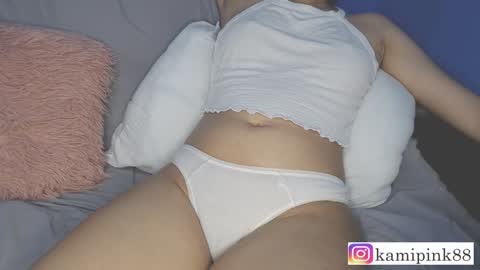 Snapshot of favicam chatting on December 13, 2024, 12:42 am kamipink88 online show from December 13, 2024, 12:42 am
