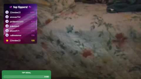 Snapshot of feetnymph chatting on February 15, 2025, 5:41 am Soley online show from February 15, 2025, 5:41 am