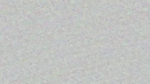 Snapshot of feleenafux42 chatting on May 3, 2026, 7:20 pm FeleenaFux online show from May 3, 2026, 7:20 pm