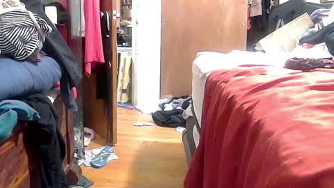 felicitybliss29 online show from October 16, 2025, 4:57 am