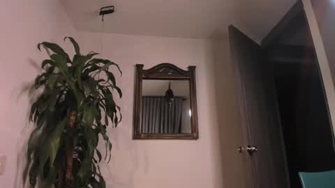 FelixSantos online show from January 25, 2025, 1:10 am