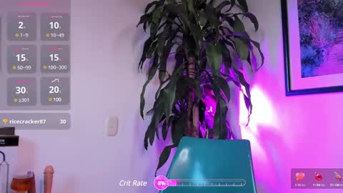 FelixSantos online show from February 19, 2025, 10:42 pm