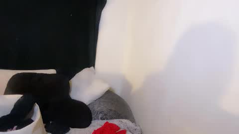 this is justice tricia a bigelow. she was fucking my husband tom girardi online show from November 2, 2025, 9:00 am