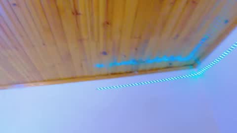 stefannia online show from February 3, 2026, 10:59 pm