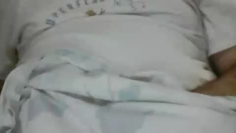 Snapshot of fernando202202 chatting on July 6, 2026, 2:52 am fernando202202 online show from July 6, 2026, 2:52 am