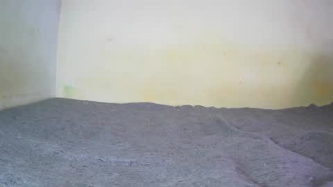 Fern Tlk online show from December 20, 2024, 7:17 pm