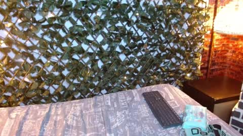 Snapshot of ferphoenix_ chatting on December 29, 2024, 1:24 am FER PHOENIX online show from December 29, 2024, 1:24 am