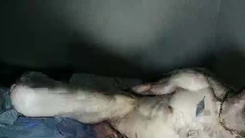 fetishsearch1abdl online show from February 27, 2025, 6:18 am