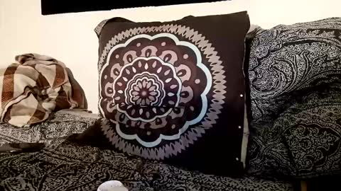 fezzyqt online show from October 19, 2025, 9:26 pm