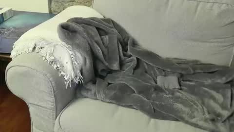 Fid online show from January 6, 2026, 8:45 pm