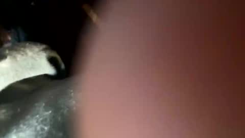 Snapshot of fieldmousebby chatting on November 12, 2025, 8:15 am fieldmousebby online show from November 12, 2025, 8:15 am