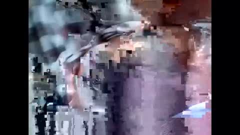 fifipan online show from May 9, 2026, 3:56 am