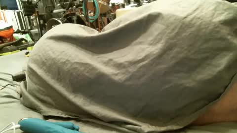 Snapshot of fignutz chatting on January 28, 2025, 12:32 pm fignutz online show from January 28, 2025, 12:32 pm